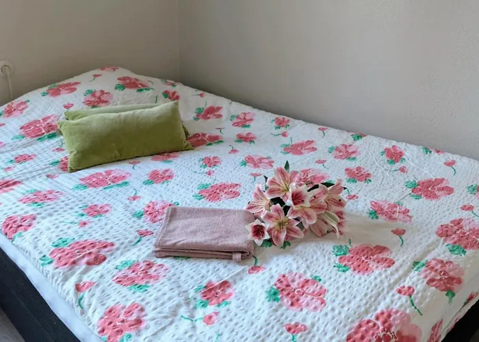 Kasarminkadun Basic Cozy 19,5 M2